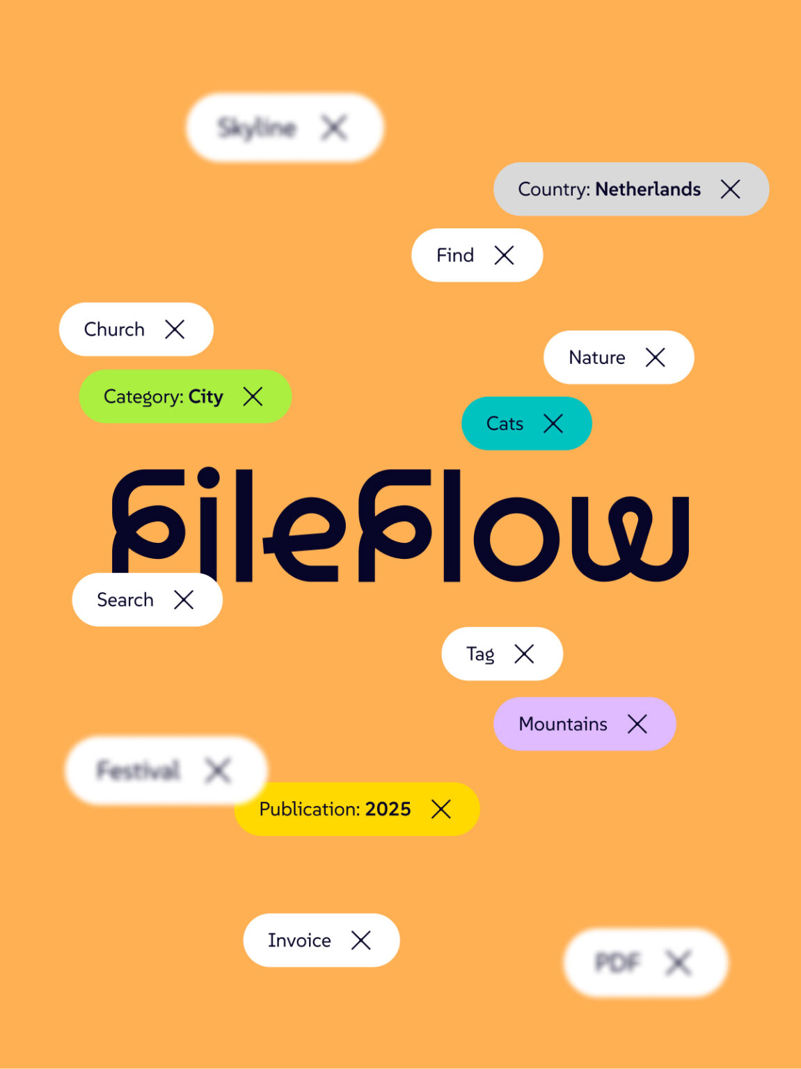 Defigners - UX & Digital Design Agency Utrecht - Fileflow portrait header